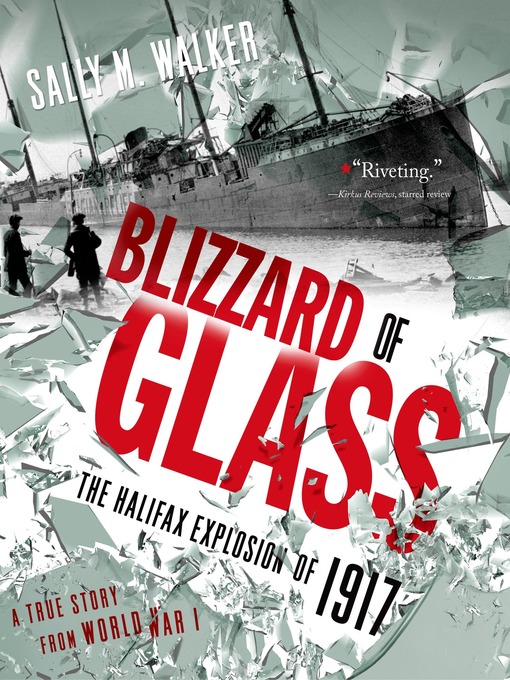 Title details for Blizzard of Glass by Sally M. Walker - Wait list